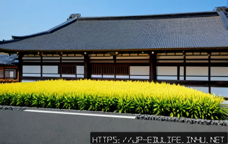 孤立を防ぐ学びの場をどう作る?生涯学習の専門職が考える支援プログラムの設計と選び方 4 평생교육사와 소외 계층 교육 프로그램 관련 이미지 2
